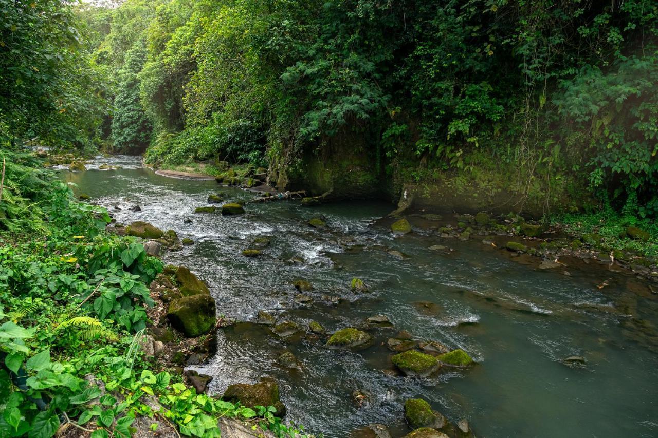 The Pyramid Ubud River Villas Payangan Extérieur photo